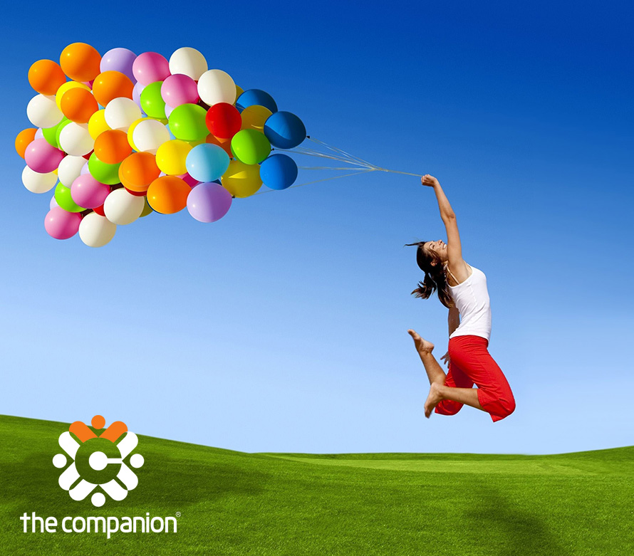 Thiết kế thương hiệu The Companion