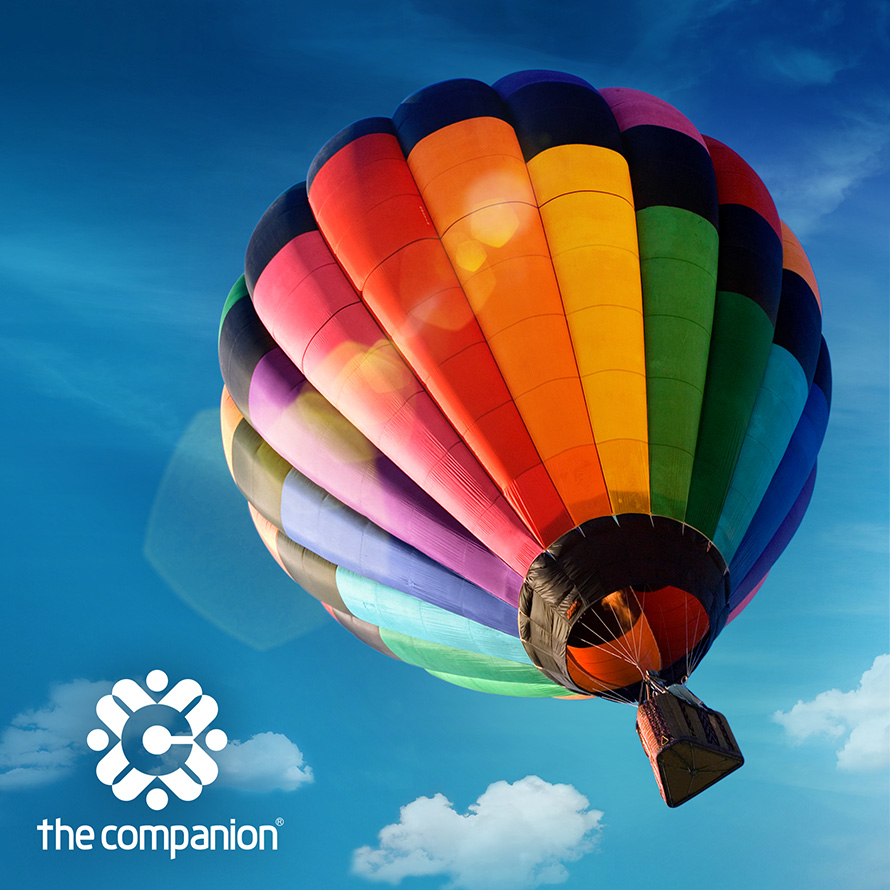 Thiết kế thương hiệu The Companion