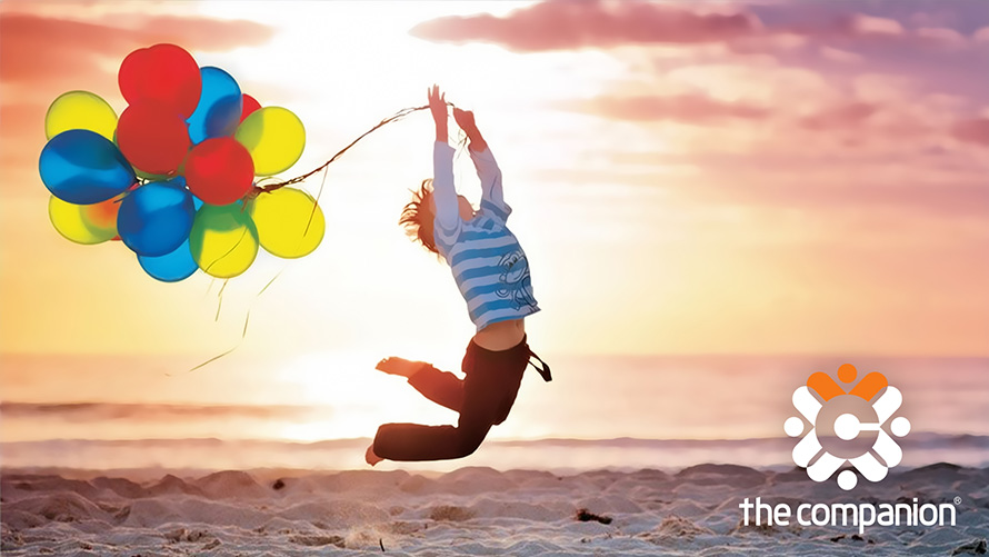 Thiết kế thương hiệu The Companion