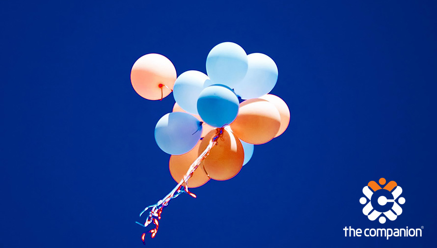 Thiết kế thương hiệu The Companion