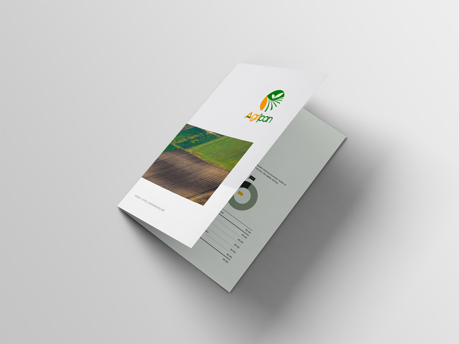 thiết kế thương hiệu agripan