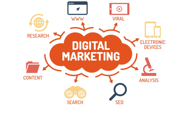 Dịch vụ Digital marketing trên website